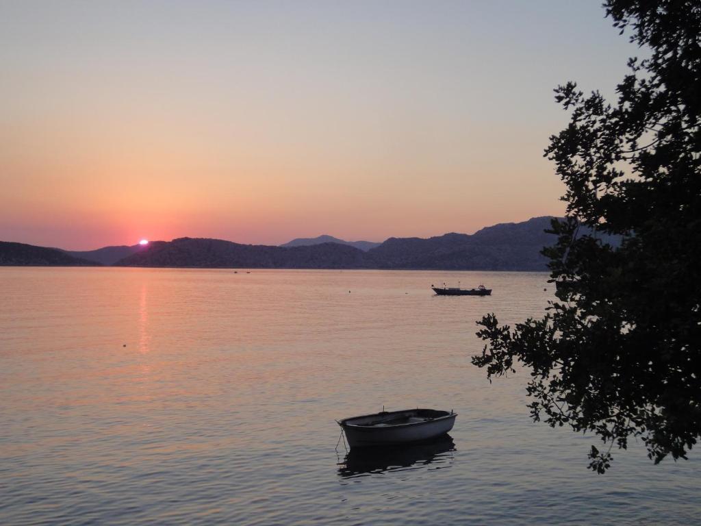 Mavi Akvaryum Pension Hotel Sogut  Екстериор снимка
