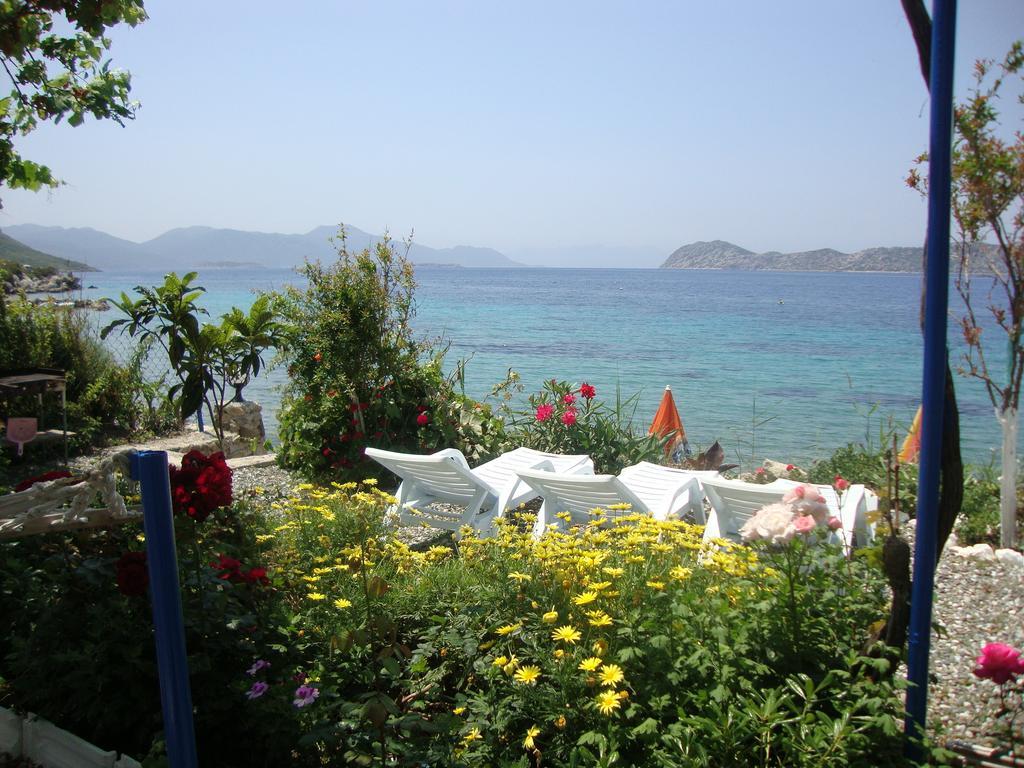 Mavi Akvaryum Pension Hotel Sogut  Екстериор снимка